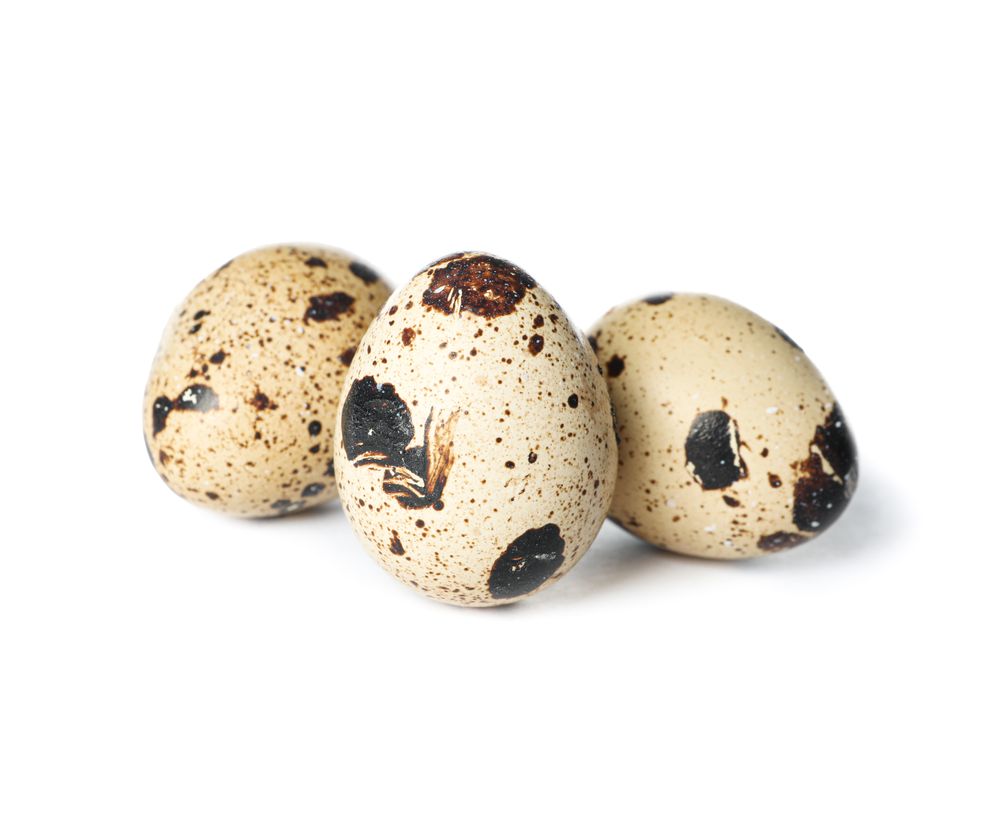 Raw quail eggs isolated on blank background