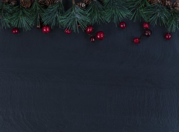 Christmas top border of red berries and fir branches on dark stone