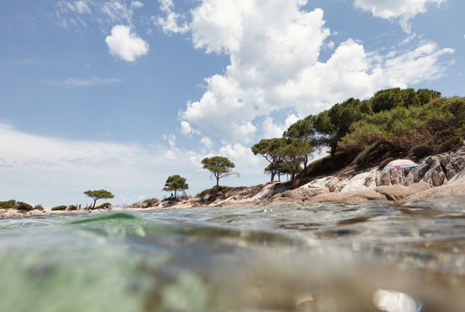 Stony island with bright greenery surrounded by water