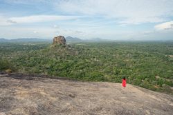 Tourist against solitary rock in middle of green forested plain under clear sky in summer