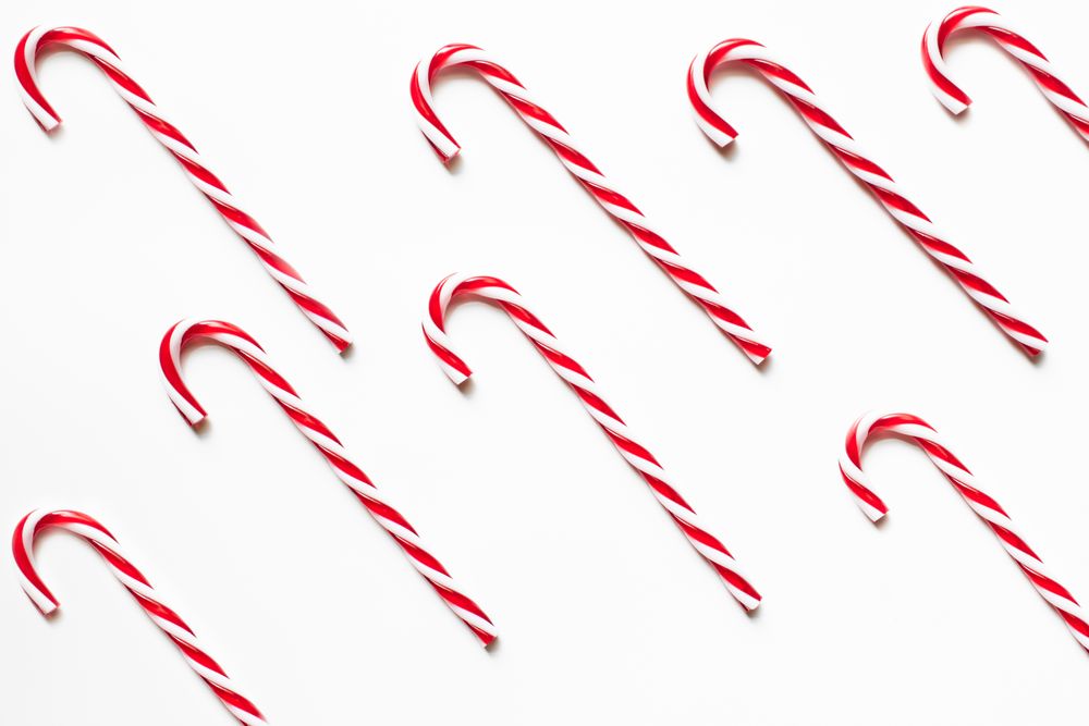Candy Cane on a plain background. Christmas theme background.