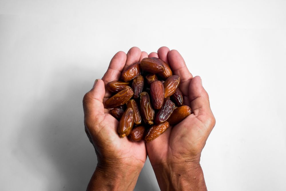Hand hold date fruit on isolated plain background