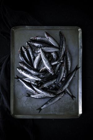 Tray with fresh fish