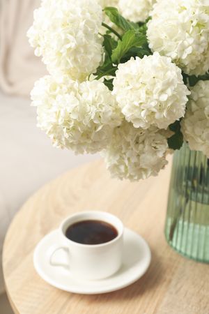 Composition with hydrangea flowers indoor. Spring plant