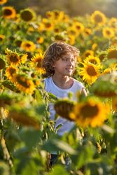Smiling boy among blooming sunflowers in field
