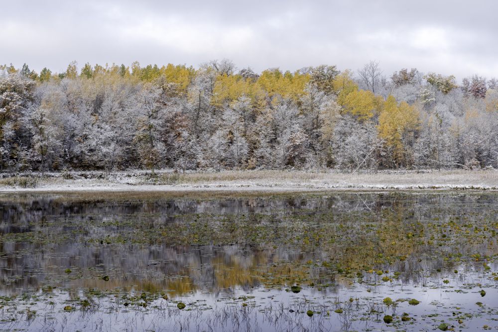 First snow and fall colors in McGregor, Minnesota