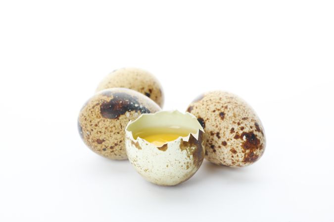 Quail eggs and half yolk isolated on light background