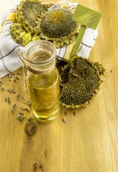 Sunflower plants and a bottle with oil