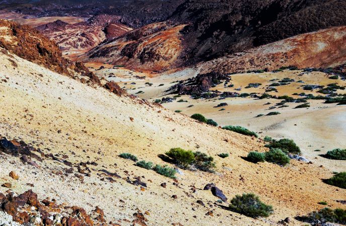 Deserted dried wild landscape with small bushes