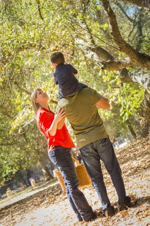 Family Enjoy a Walk in the Park