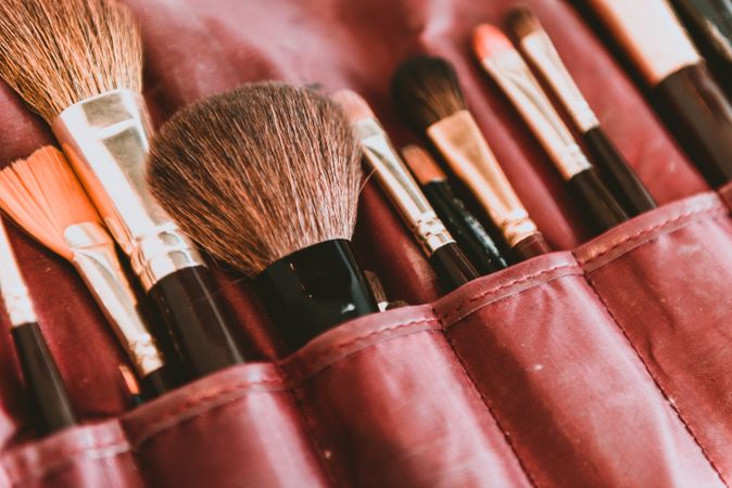 Set of brushes in bag
