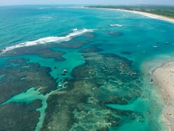 Aerial shot of the choral reeds of Porto de Galinhas