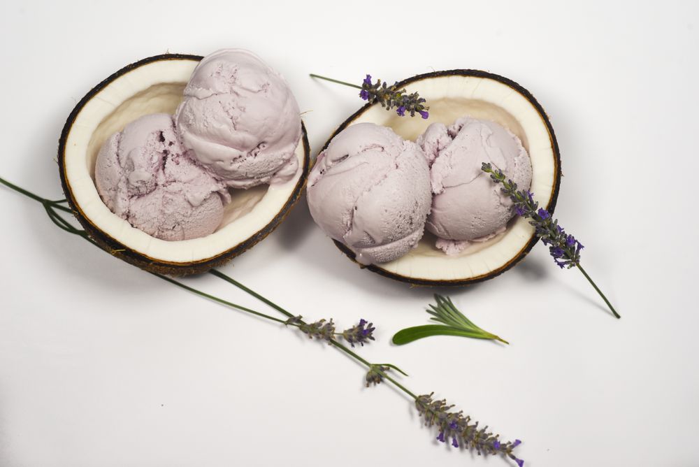Top view of coconut shells with delicious purple ice cream and lavender garnish