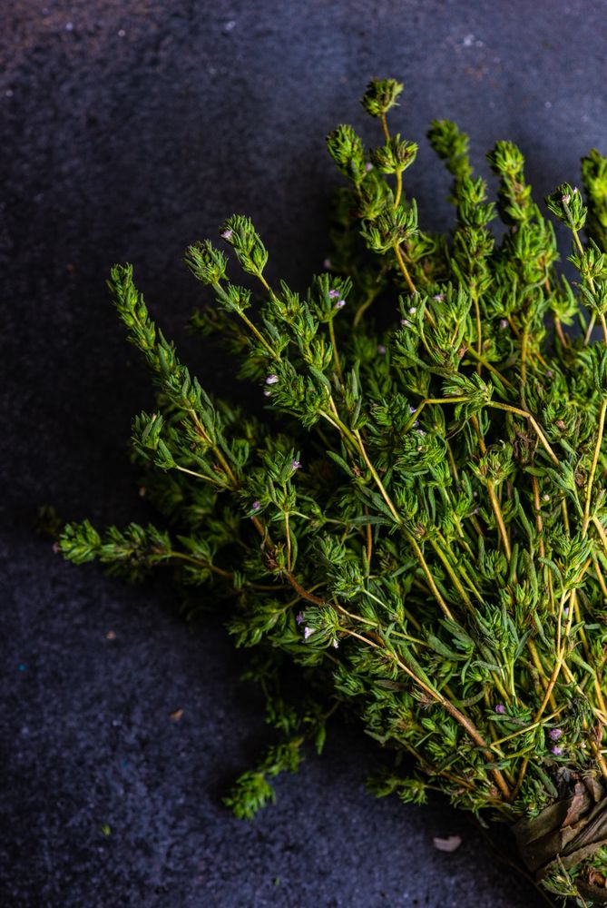 Top view of bunch of fresh ombalo herb