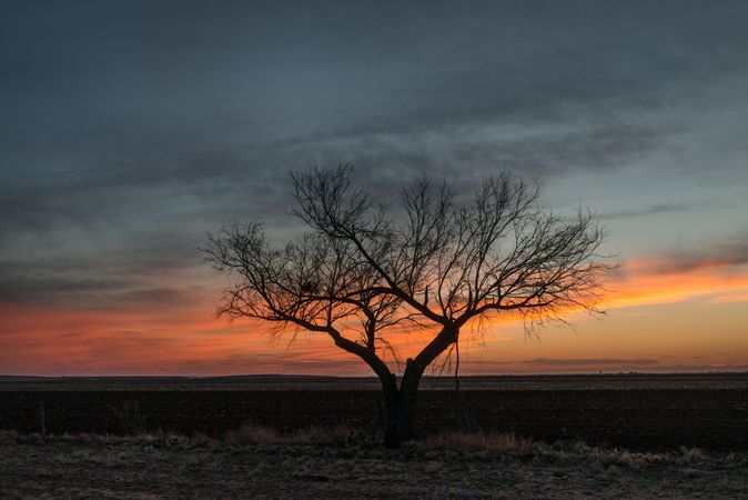 Sunset scene in rural Tom Green County, northeast of San Angelo, Texas