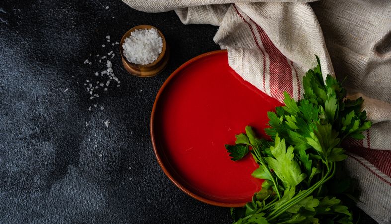 Red plate with salt and parsley