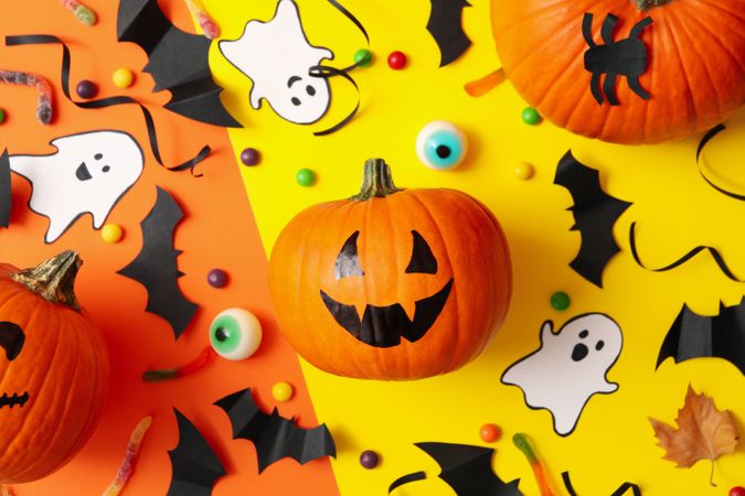 Different halloween accessories and pumpkins on two tone background