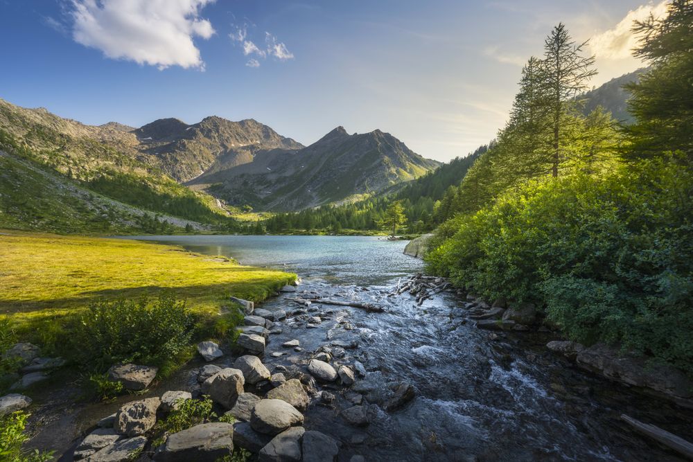 Trees and rocks along the shores of Lake Arpy at sunset