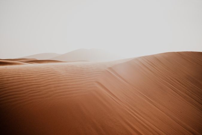 Sandy dune in arid desert