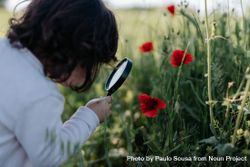Little girl looking at flower with magnifying glass 5XEo74