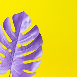 Purple painted tropical leaf on yellow background