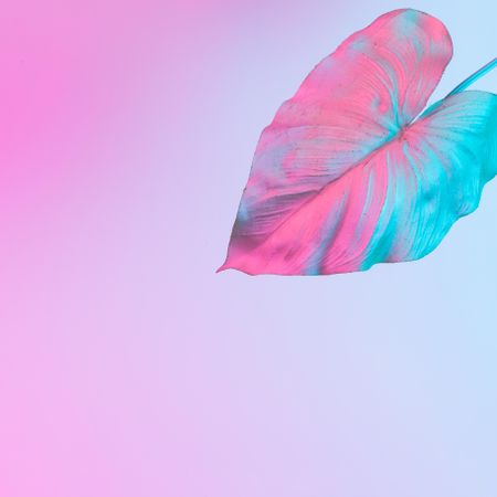 Tropical leaf in vibrant bold gradient blue and pink holographic neon colors