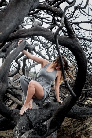 Woman posing on twigs of dry trees