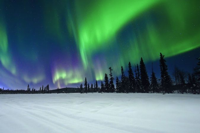 Polar lights over trees in winter countryside
