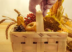 Farmers hand holding a basket with seasonal products