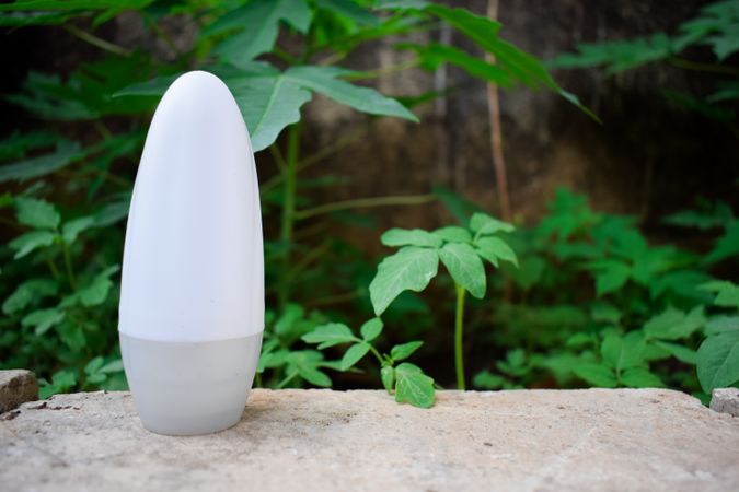 Cosmetic bottle on ledge surrounded by green branches with copy space