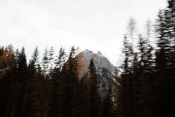 Big mountains near pine forest on cloudy weather