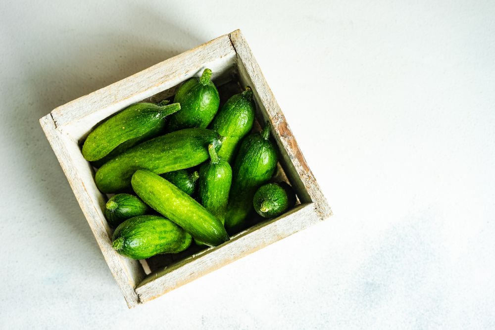 Box of small cucumbers