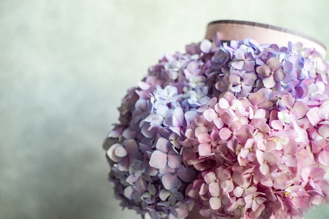 Fresh violet & pink pastel summer floral gift