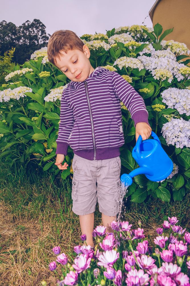 Happy boy watering flowers in the garden