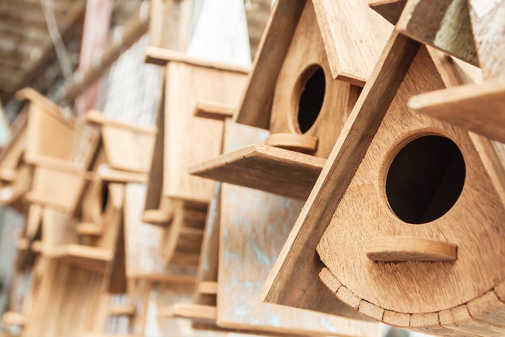 diverse wooden house of bird.