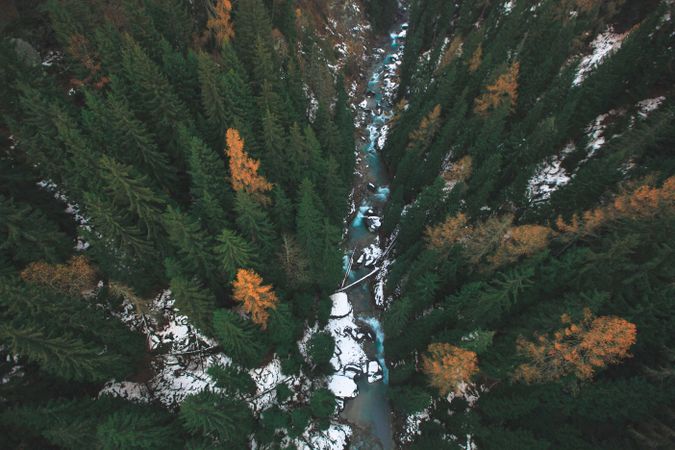 Looking down at icy river in forest