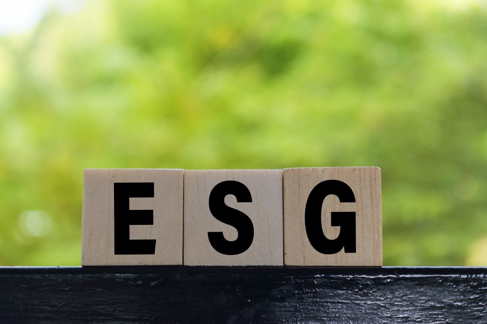 ESG letter symbol on wooden blocks isolated on green background. concept of environmental and sustainability government responsibility