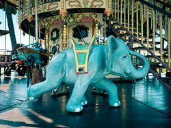 charging elephant: Carousel 1900