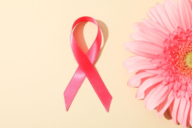 Pink awareness ribbon and gerbera on color background, space for text.