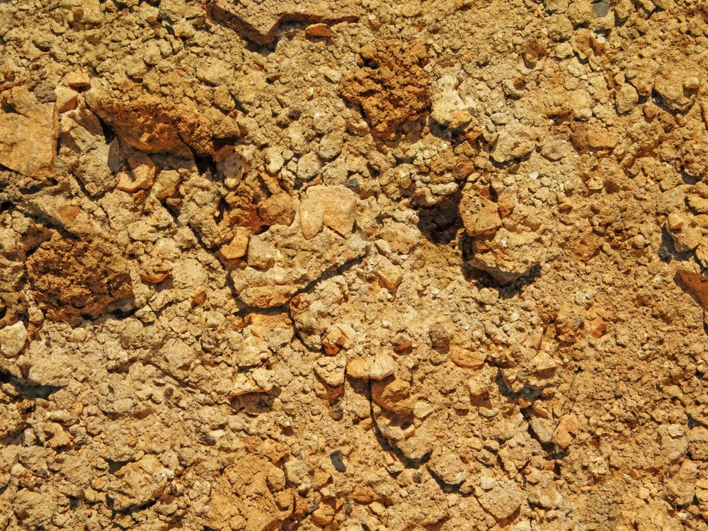 outdoor ground texture
