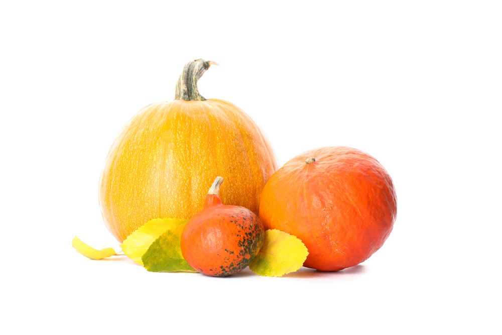 Group of fresh pumpkins and leaves isolated on blank background