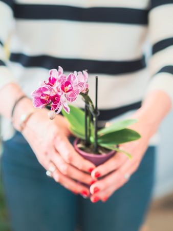 Female with pink flowers
