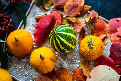 Top view of gourds on trey of autumn leaves