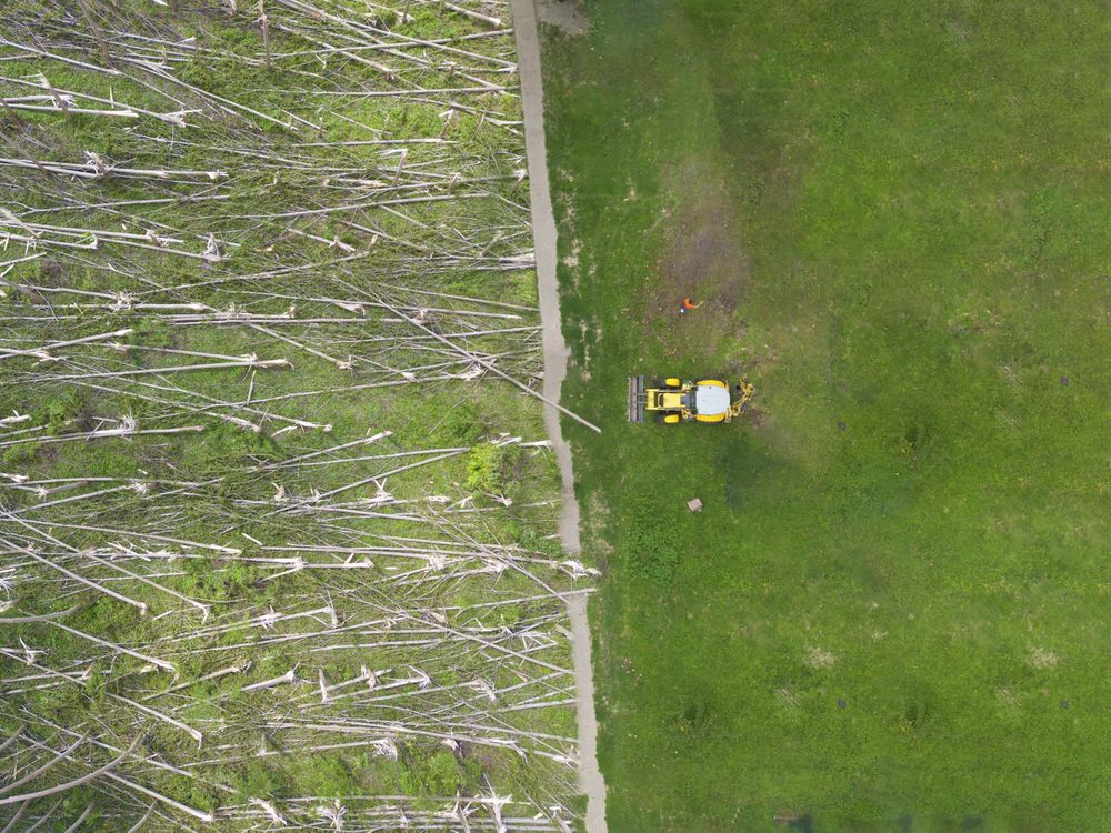 Bulldozer clearing out a forest, aerial view