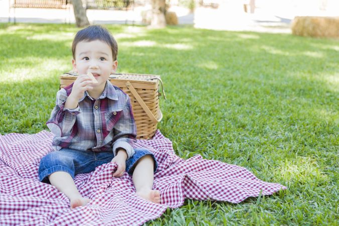 Young Boy Sitting in Park Near Picnic Basket