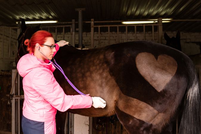 Veterinarian performing cardiac auscultation on horse