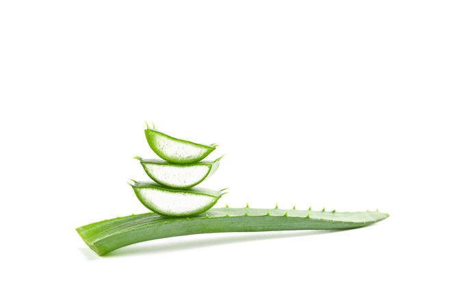 Aloe vera slices isolated on studio background. Herbal medicine