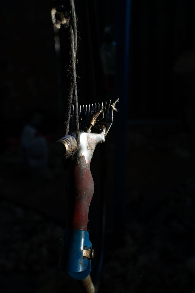 Sheep shearing machine hanging on rope