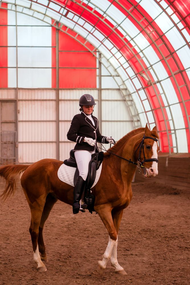 Focused dressage rider in a striking red-arched arena