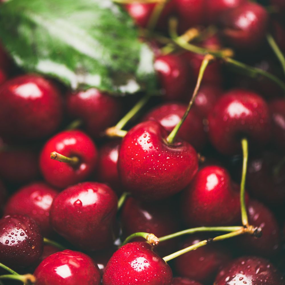 Freshly washed batch of cherries, square crop, close up